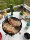 IMG_9798.jpeg
