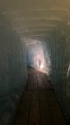 IMG_8962.jpeg
