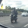 IMG_8834.jpeg