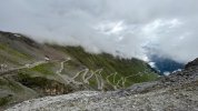 IMG_2427.jpeg