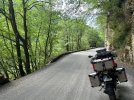 IMG_3393.jpg