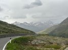 IMG_1547.jpg