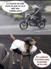 IMG_1434.jpeg