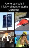CANICULE.jpg