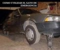 IMG_2402.jpeg