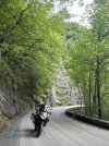 IMG_3391.jpg