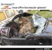 CARGLASS.jpg