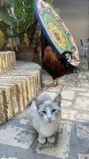 IMG_1884.JPG