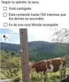 1691828677760.jpeg