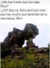 1692029288349.jpeg