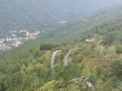 IMG_20221017_133801.jpg