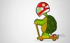 Tortuga-Motera.jpg