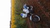 20160601_211726.jpg