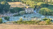 IMG_5007.jpeg