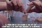 IMG_2965.jpeg