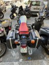IMG_2983.jpeg