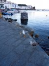 IMG_20220711_205322.jpg