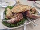 IMG-20230828-WA0054.jpg