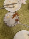IMG_6036.jpeg