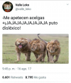 1694184656920.png
