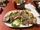 IMG_2719.jpeg