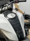 IMG_8532.jpeg