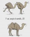 IMG_0071.jpeg