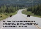 images (7).jpeg