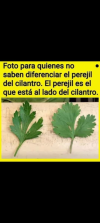 1695584886453.png