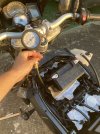 IMG_3022.jpeg