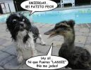 IMG_4544.jpeg