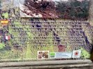 3815A70B-0445-4140-B54F-DE8BABB33B7D.jpeg