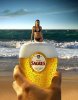 sagres_cerveja_anuncio_not.jpg