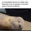 IMG_4725.jpeg