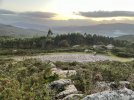 IMG_2685.jpeg