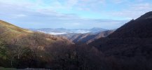 IMG_20231112_100654.jpg