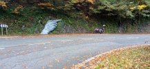 IMG_20231112_112346.jpg