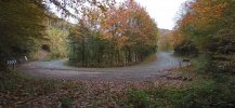 IMG_20231112_112644.jpg