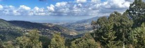 250923_Tabarca_aColRuines_mini.jpg