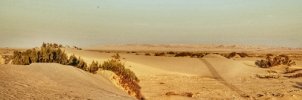 270923_Chot_elGharsa_4_MINI.jpg