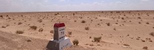 011023_MATMATA_Dromed.jpg