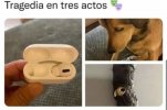 IMG_5376.jpeg