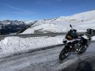 IMG_1079.jpeg
