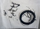 IMG_3514.jpeg