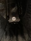 IMG_5169.jpeg