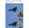 IMG_5790.jpeg
