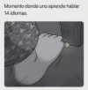 1702849686231.png