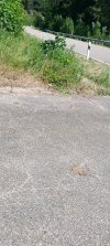 20230611_130127.jpg