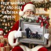my_photo_christmas-982-2.jpg