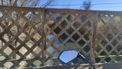 IMG-20231224-WA0013.jpeg